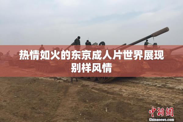 热情如火的东京成人片世界展现别样风情