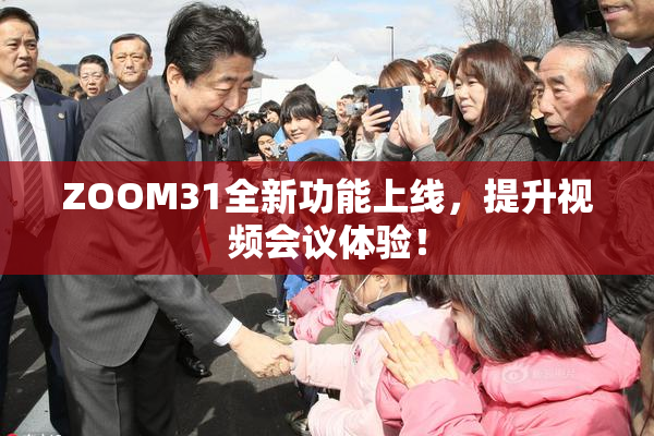 ZOOM31全新功能上线，提升视频会议体验！