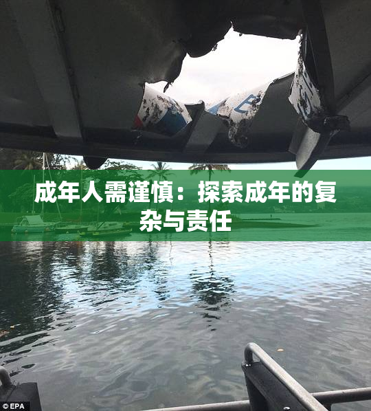 成年人需谨慎：探索成年的复杂与责任