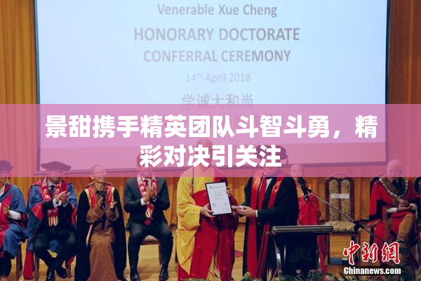 景甜携手精英团队斗智斗勇，精彩对决引关注