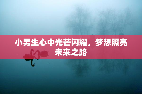 小男生心中光芒闪耀，梦想照亮未来之路