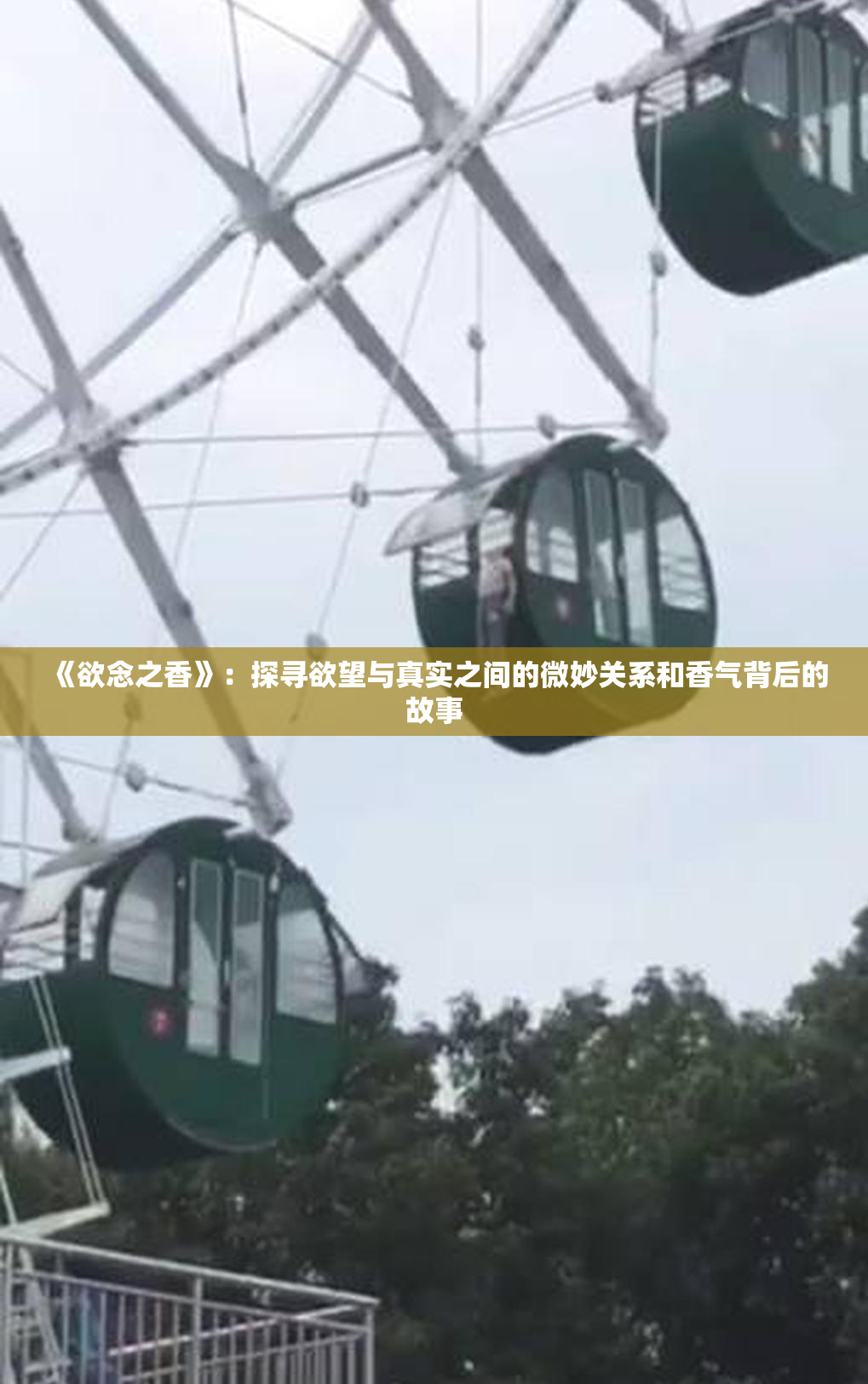 《欲念之香》：探寻欲望与真实之间的微妙关系和香气背后的故事