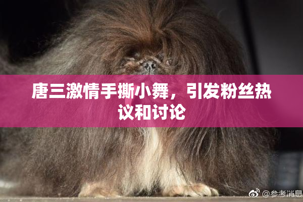 唐三激情手撕小舞，引发粉丝热议和讨论