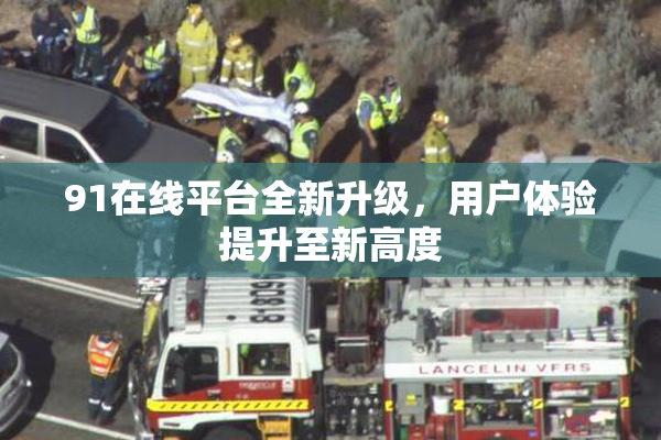 91在线平台全新升级，用户体验提升至新高度