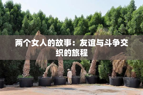 两个女人的故事：友谊与斗争交织的旅程