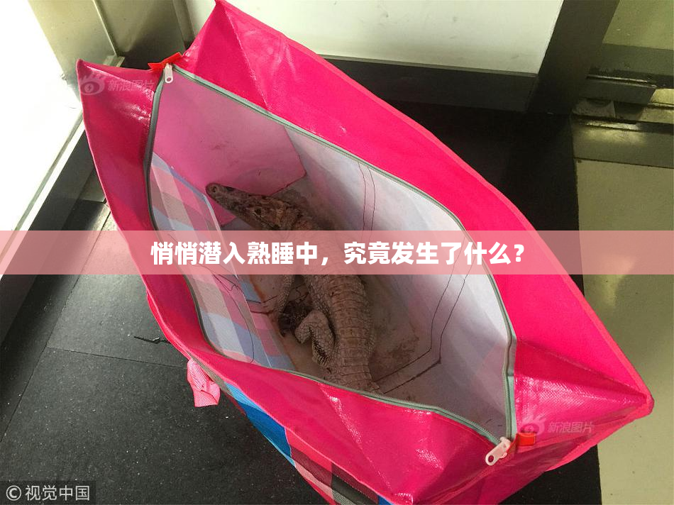 悄悄潜入熟睡中，究竟发生了什么？