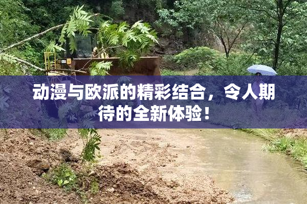 动漫与欧派的精彩结合，令人期待的全新体验！
