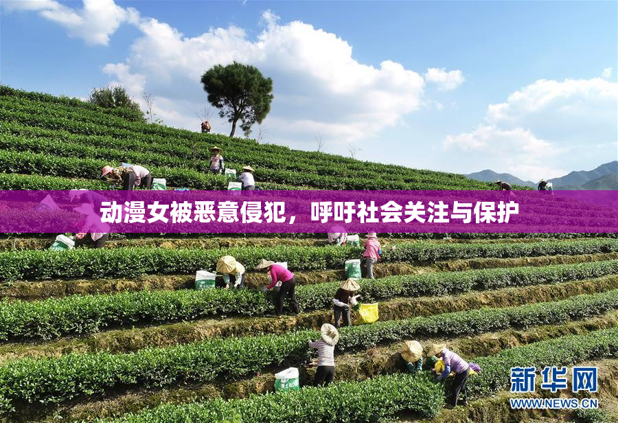动漫女被恶意侵犯，呼吁社会关注与保护