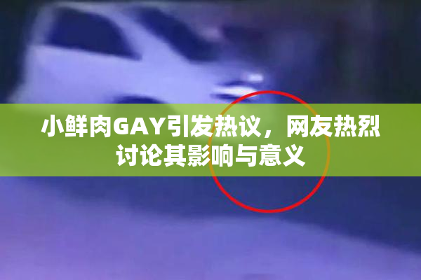 小鲜肉GAY引发热议，网友热烈讨论其影响与意义