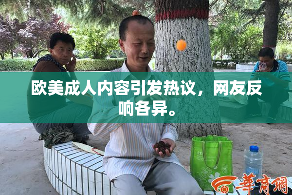 欧美成人内容引发热议，网友反响各异。