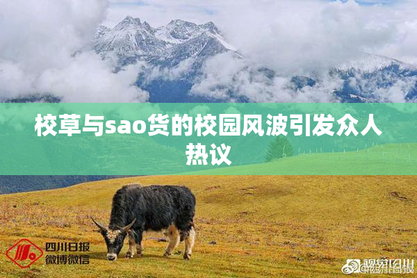 校草与sao货的校园风波引发众人热议