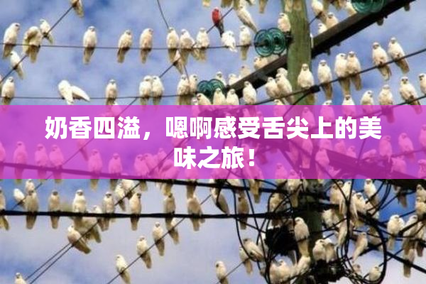 奶香四溢，嗯啊感受舌尖上的美味之旅！