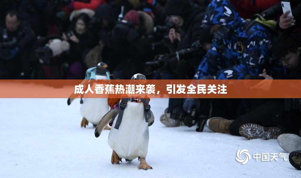 成人香蕉热潮来袭，引发全民关注