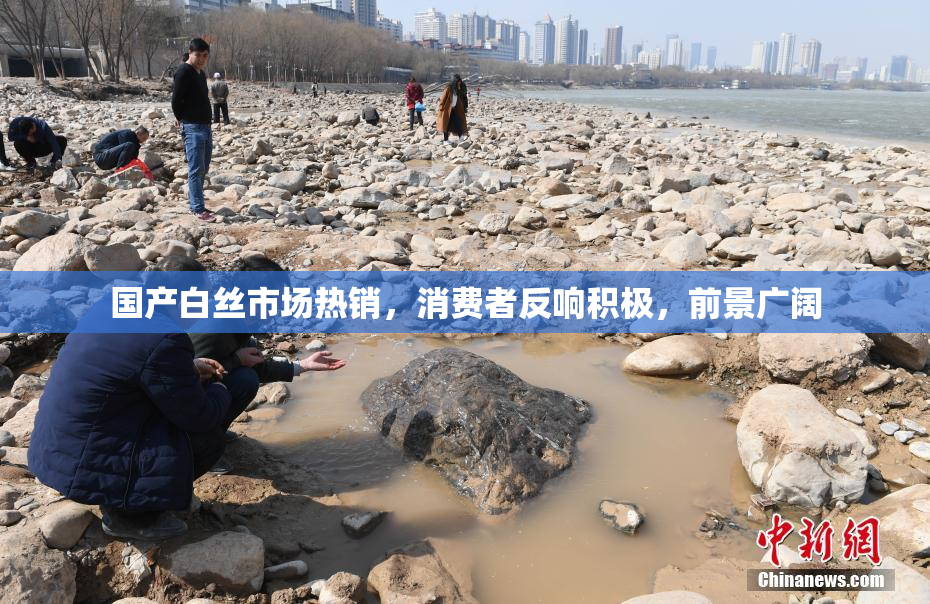 国产白丝市场热销，消费者反响积极，前景广阔