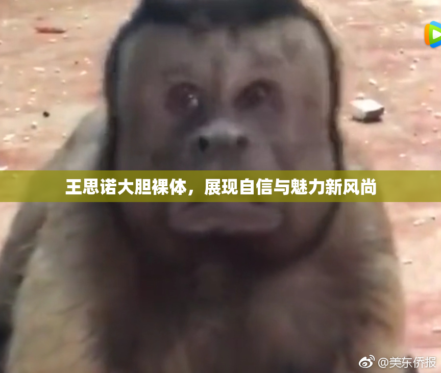 王思诺大胆裸体，展现自信与魅力新风尚