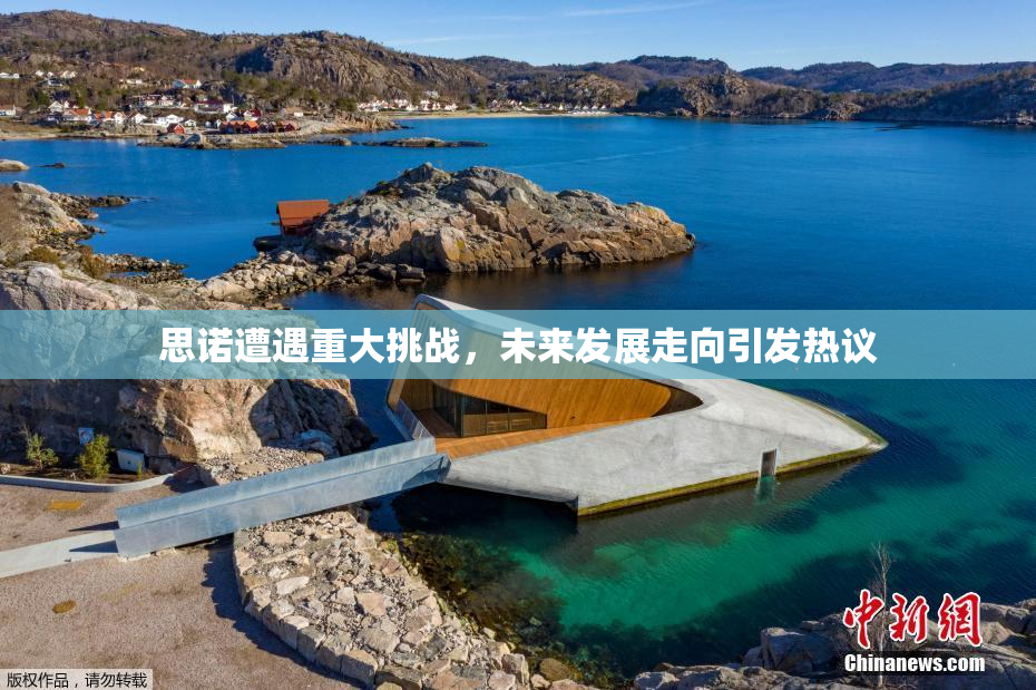 思诺遭遇重大挑战，未来发展走向引发热议