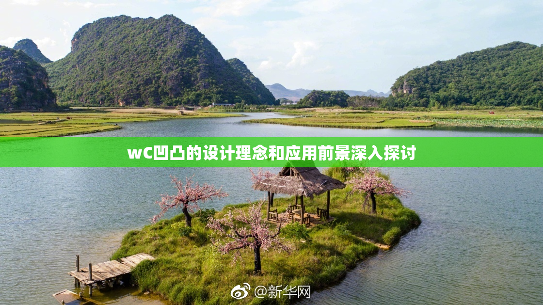 wC凹凸的设计理念和应用前景深入探讨