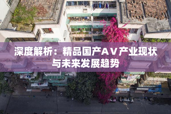 深度解析：精品国产AⅤ产业现状与未来发展趋势