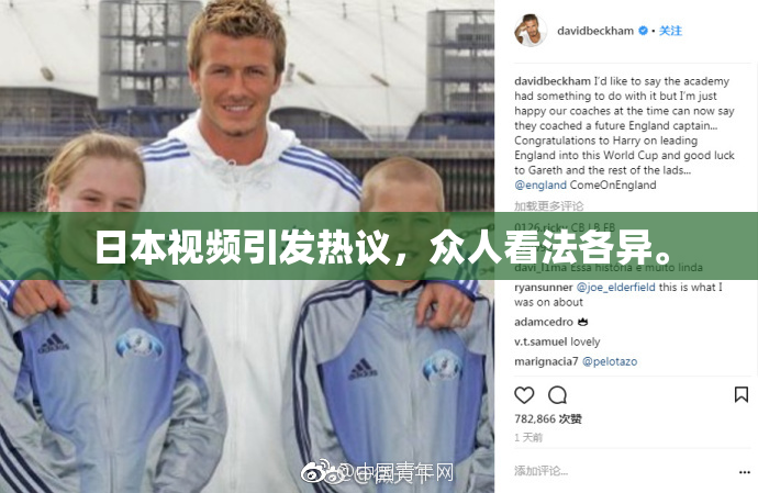 日本视频引发热议，众人看法各异。