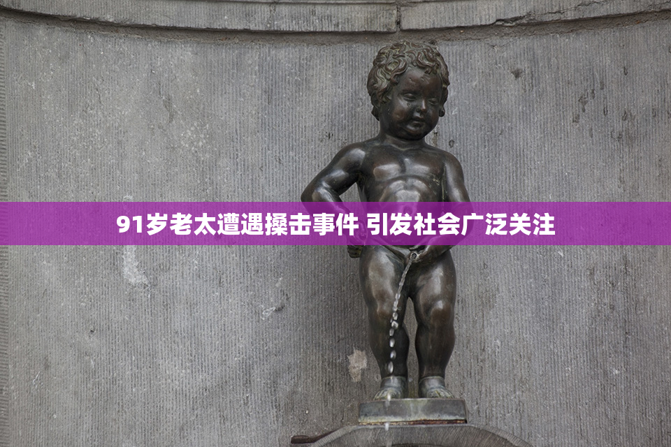 91岁老太遭遇搡击事件 引发社会广泛关注