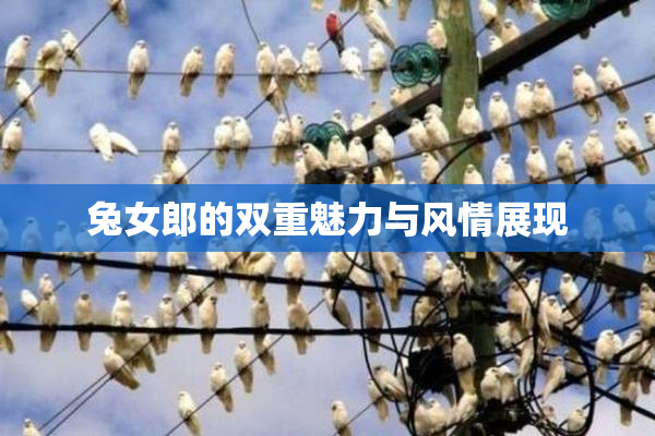兔女郎的双重魅力与风情展现
