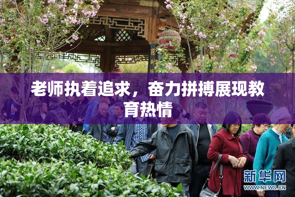 老师执着追求，奋力拼搏展现教育热情