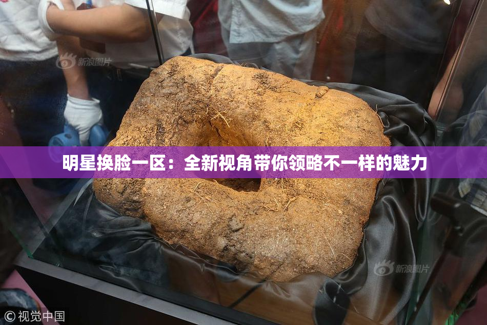 明星换脸一区：全新视角带你领略不一样的魅力