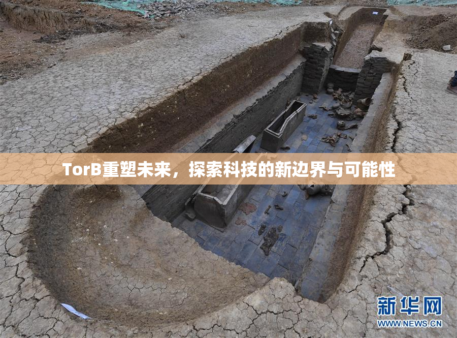 TorB重塑未来，探索科技的新边界与可能性