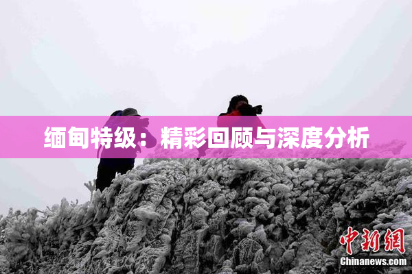 缅甸特级：精彩回顾与深度分析