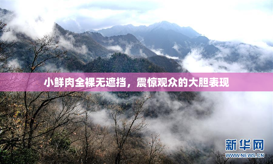 小鲜肉全裸无遮挡，震惊观众的大胆表现