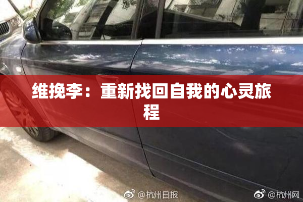 维挽李：重新找回自我的心灵旅程