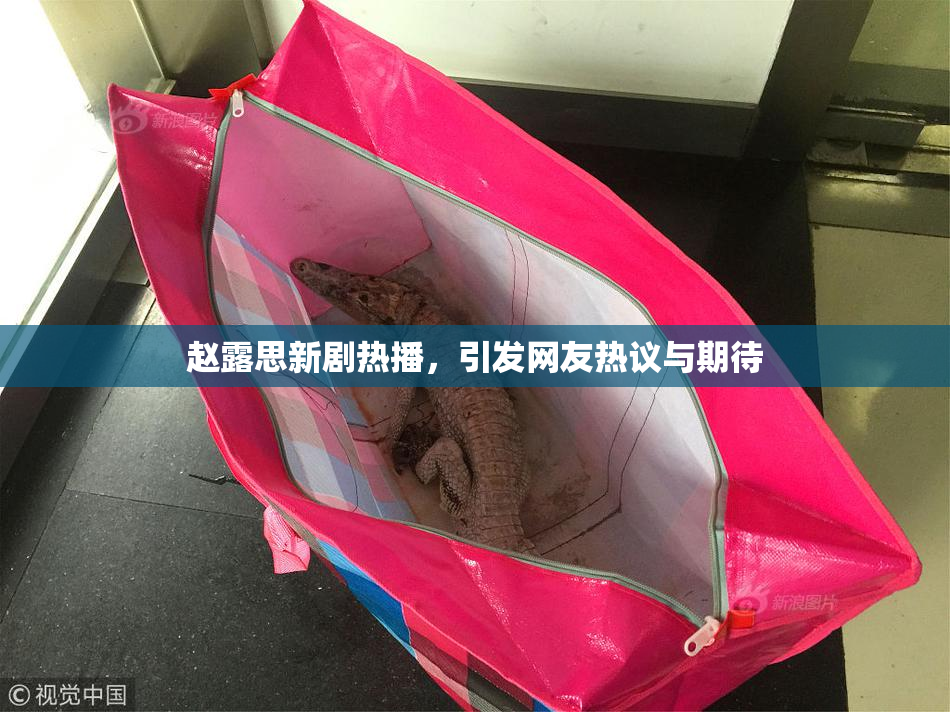 赵露思新剧热播，引发网友热议与期待