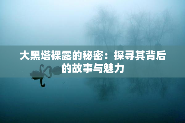 大黑塔裸露的秘密：探寻其背后的故事与魅力
