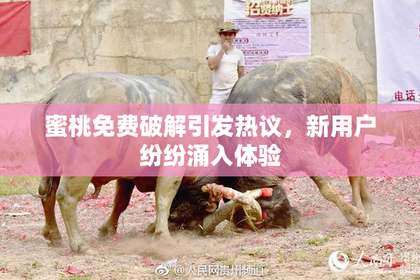 蜜桃免费破解引发热议，新用户纷纷涌入体验