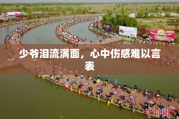 少爷泪流满面，心中伤感难以言表