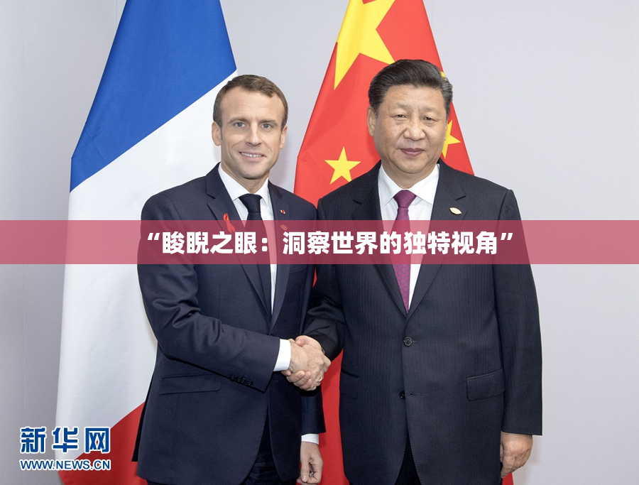 “睃睨之眼：洞察世界的独特视角”