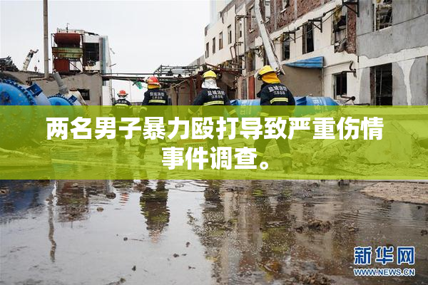 两名男子暴力殴打导致严重伤情事件调查。