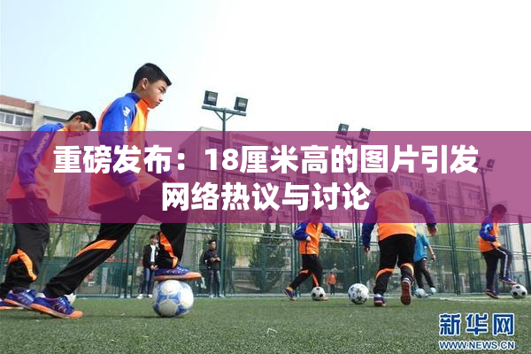 重磅发布：18厘米高的图片引发网络热议与讨论
