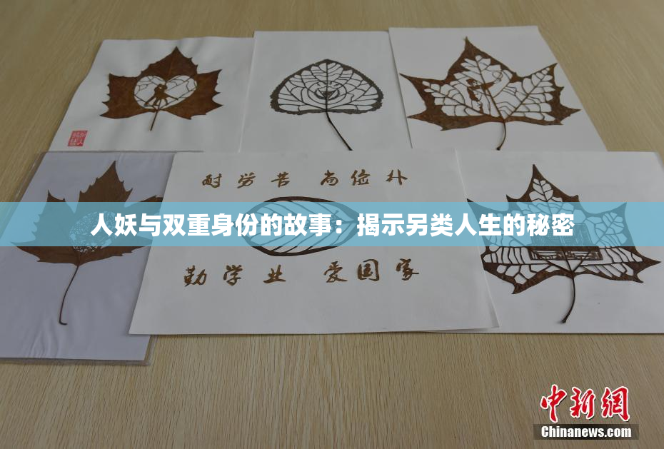 人妖与双重身份的故事：揭示另类人生的秘密