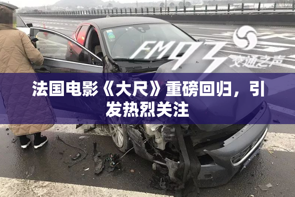 法国电影《大尺》重磅回归，引发热烈关注
