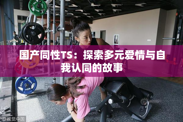 国产同性TS：探索多元爱情与自我认同的故事