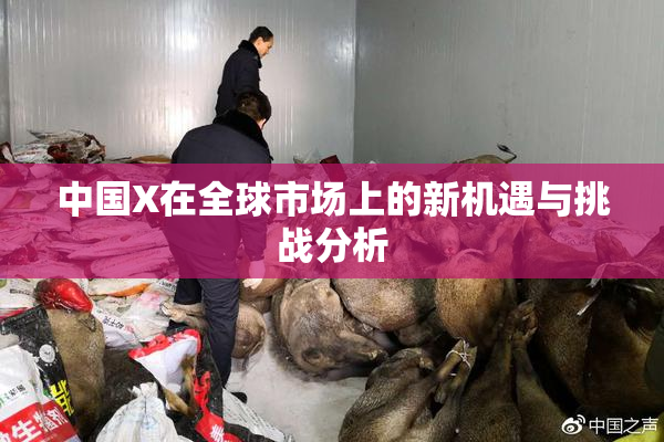 中国X在全球市场上的新机遇与挑战分析
