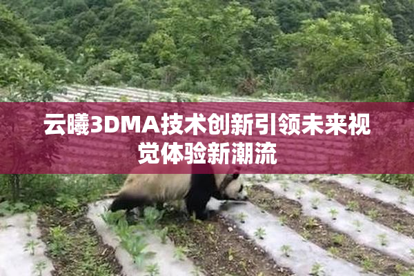云曦3DMA技术创新引领未来视觉体验新潮流
