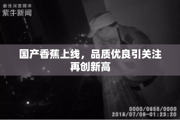 国产香蕉上线，品质优良引关注再创新高