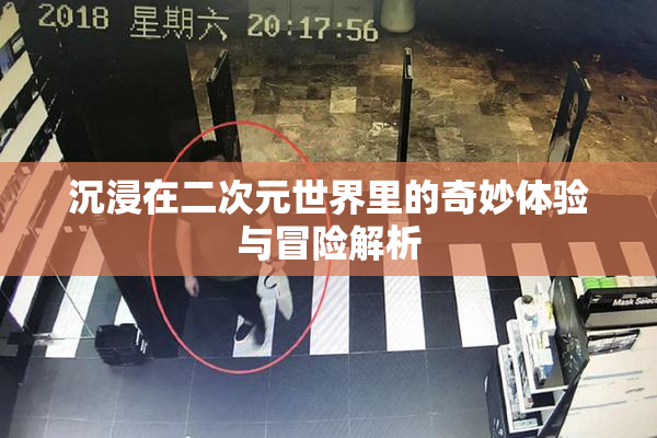 沉浸在二次元世界里的奇妙体验与冒险解析