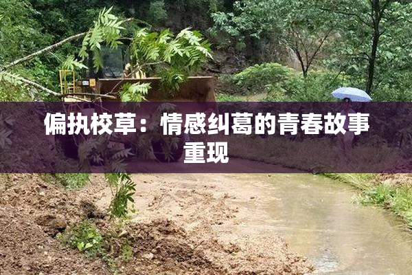 偏执校草：情感纠葛的青春故事重现