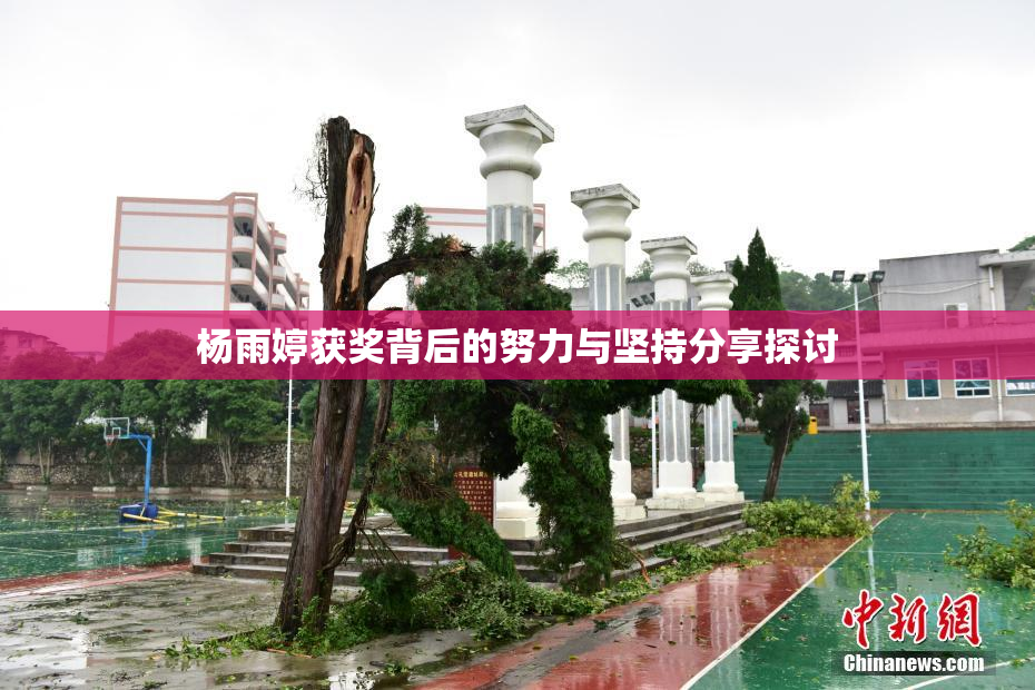 杨雨婷获奖背后的努力与坚持分享探讨