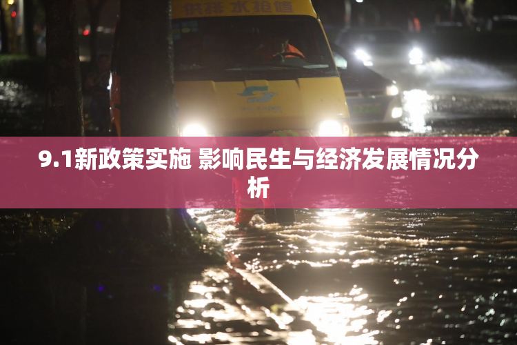 9.1新政策实施 影响民生与经济发展情况分析