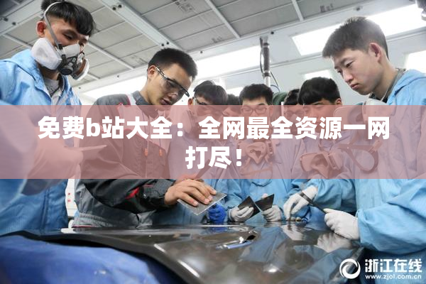 免费b站大全：全网最全资源一网打尽！