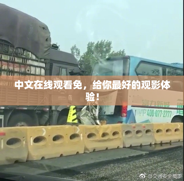 中文在线观看免，给你最好的观影体验！